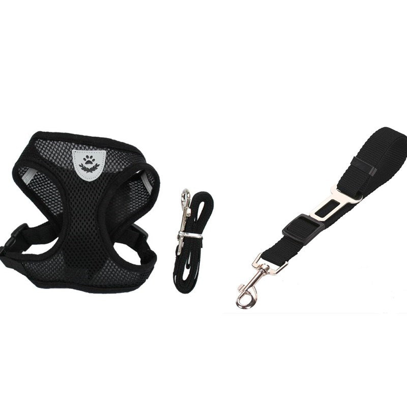 Car Seat Belt Dog Leash
