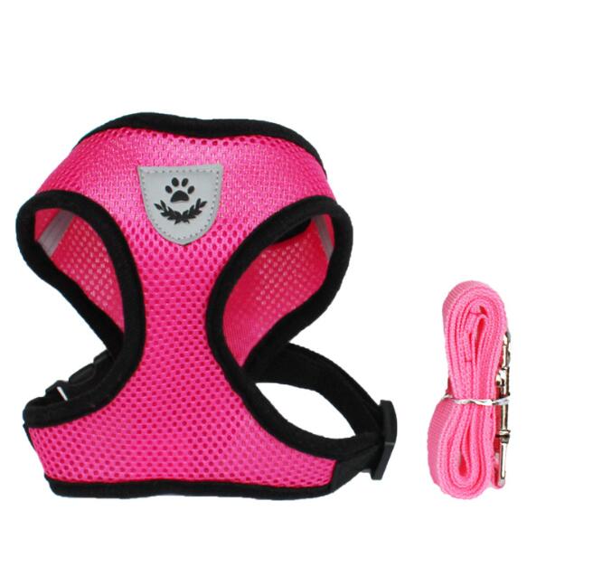 Car Seat Belt Dog Leash