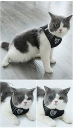 Pets Safety Belt for Cats & Dogs Leash