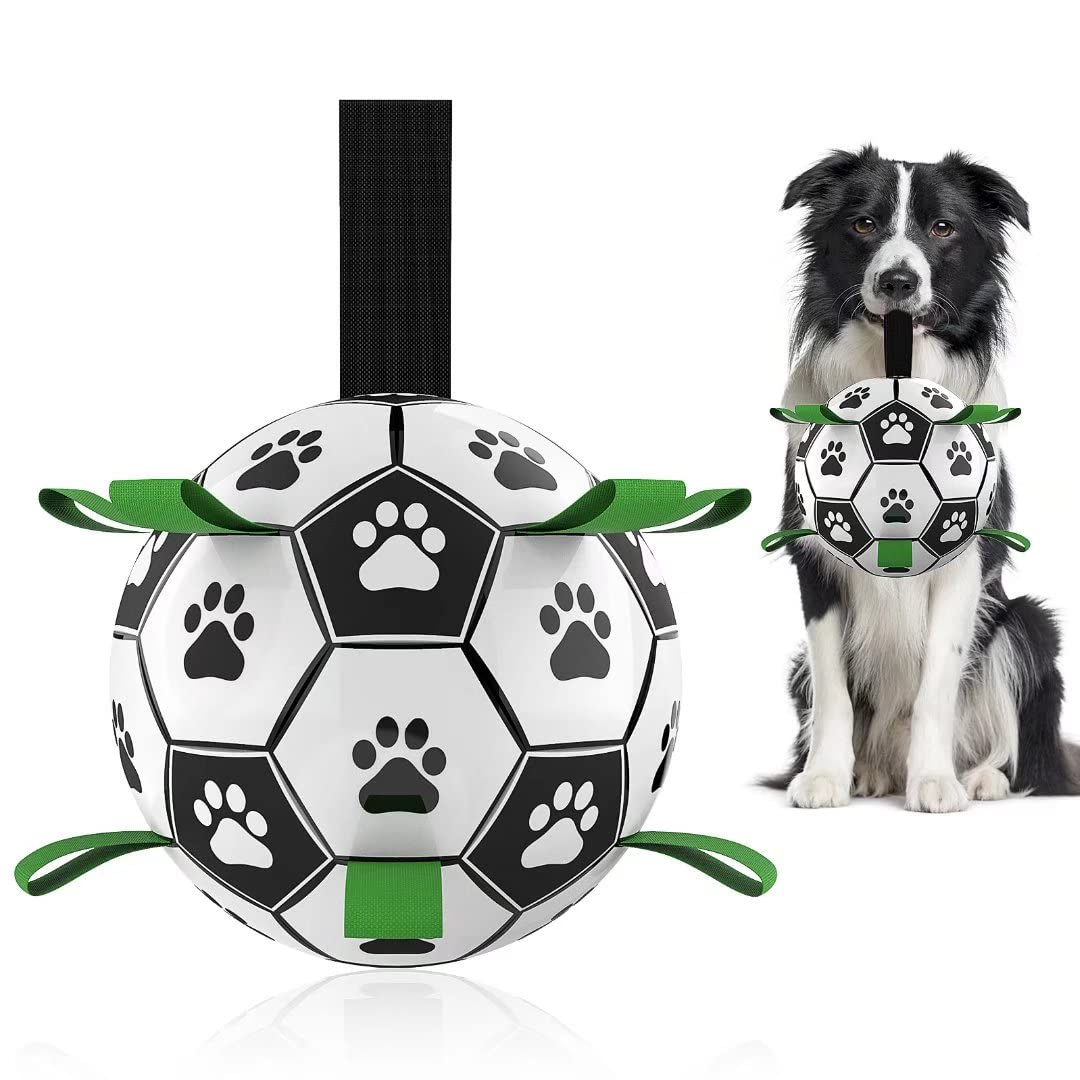 Interactive Dog Soccer Ball – Play Together, Train Together