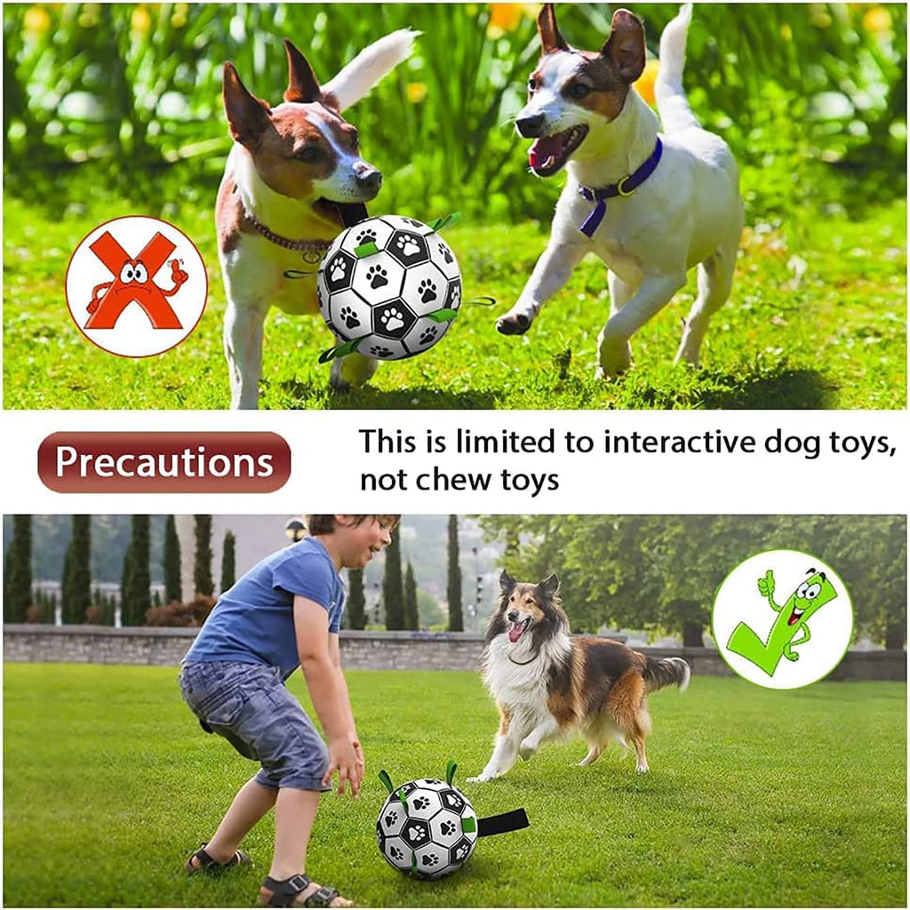 Interactive Dog Soccer Ball – Play Together, Train Together