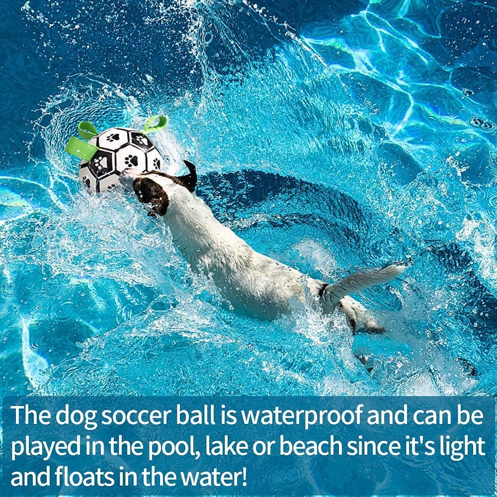 Interactive Dog Soccer Ball – Play Together, Train Together