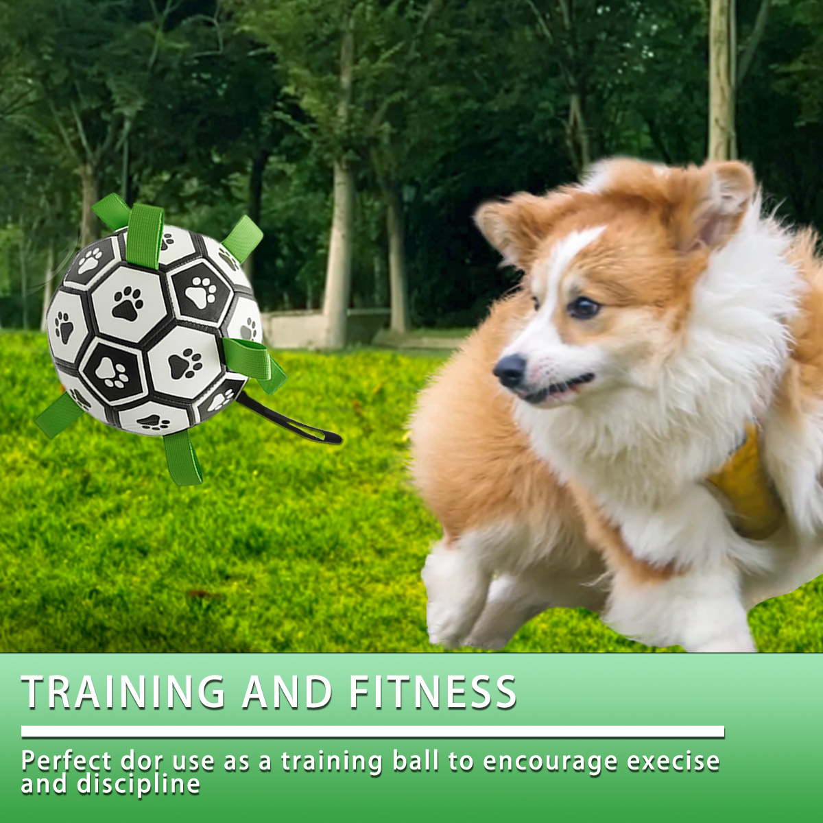 Interactive Dog Soccer Ball – Play Together, Train Together