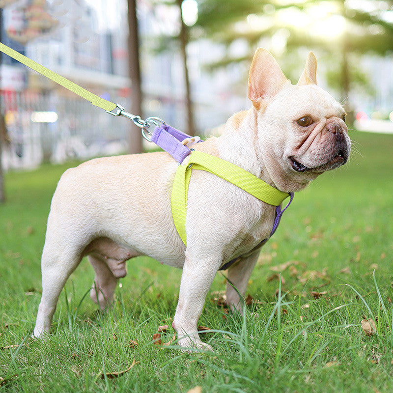 Powerful Hold Vest-style Dog Drawstring Leash