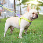 Powerful Hold Vest-style Dog Drawstring Leash