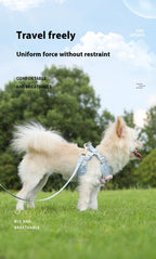 Flower Designed Vest-style Chest Strap Dog & Cat Leash