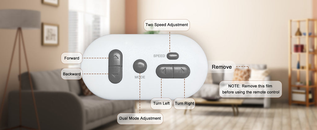 Remote Pets Toy For Puppy and Kitten Training Rechargeable