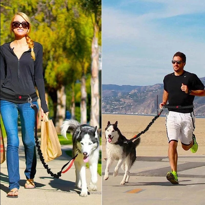 Jogging Owner Adjustable Pet Leash