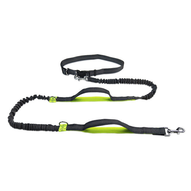 Jogging Owner Adjustable Pet Leash