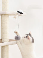 Table Electric Automatic Lifting Motion Cat Toy Teaser Ball