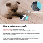 Remote Pets Toy For Puppy and Kitten Training Rechargeable