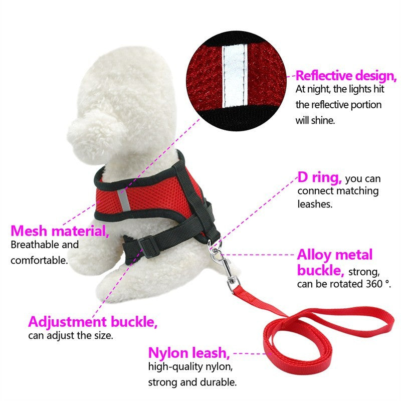 Car Seat Belt Dog Leash