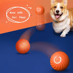 Pet Dog Rolling Ball Toys For Dogs Fun Resistance To Bite Chew Training Indoor