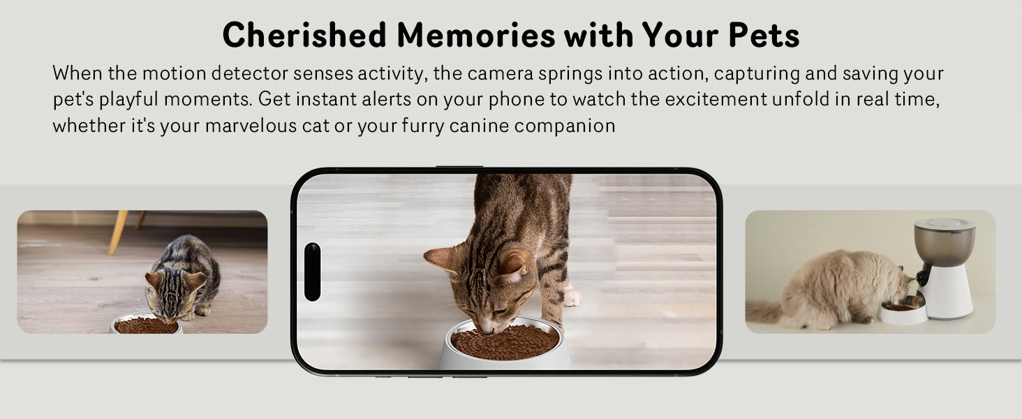 5G Cat Automatic Feeder with HD Camera Night Vision and Voice Recording