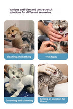 Cat Transparent Muzzle with Breathable Hood Anti-Scratch & Bite