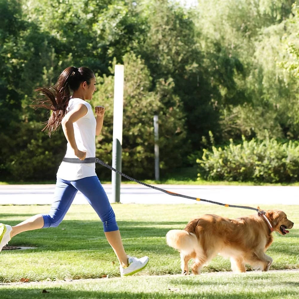 Jogging Owner Adjustable Pet Leash