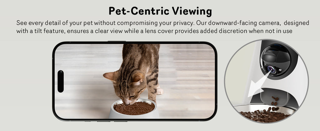5G Cat Automatic Feeder with HD Camera Night Vision and Voice Recording