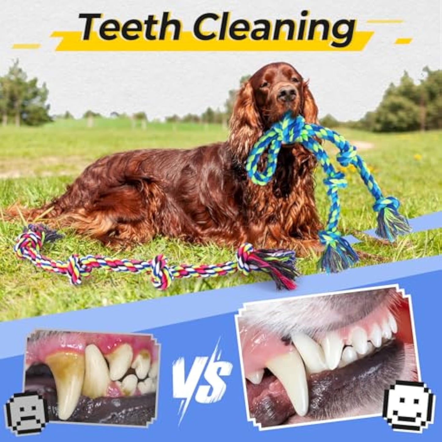 Heavy Duty Tug Rope Toy - Cotton Rope for Interactive Play & Bonding | For All Dog Sizes