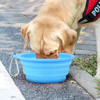 Outdoor Travel Light Dog Folding Bowl Silicone Drinking And Eating