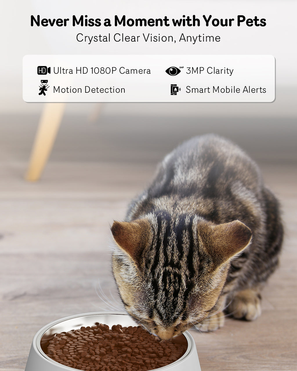 5G Cat Automatic Feeder with HD Camera Night Vision and Voice Recording