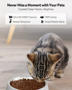 5G Cat Automatic Feeder with HD Camera Night Vision and Voice Recording