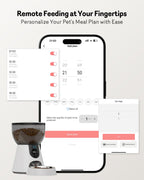 5G Cat Automatic Feeder with HD Camera Night Vision and Voice Recording
