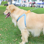 Powerful Hold Vest-style Dog Drawstring Leash