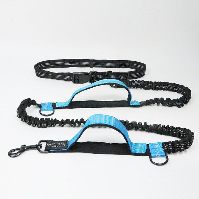 Jogging Owner Adjustable Pet Leash