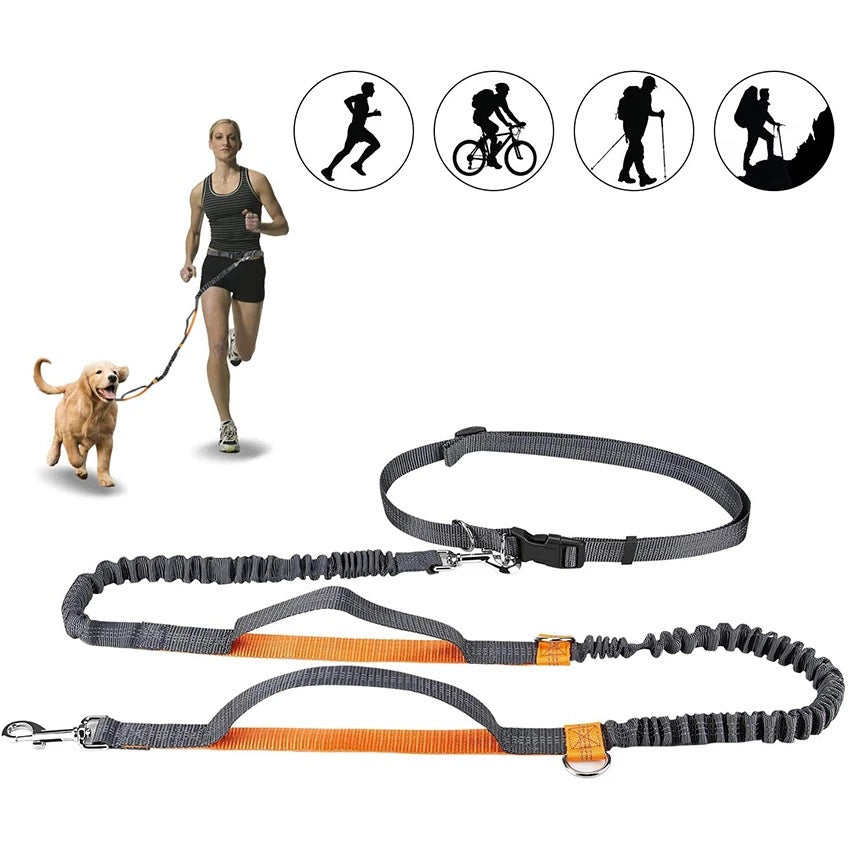 Jogging Owner Adjustable Pet Leash