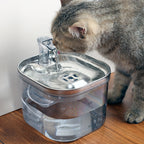 Intelligence Sensor Ultra-Quiet Automatic Drinking Fountain for Cats & Dogs