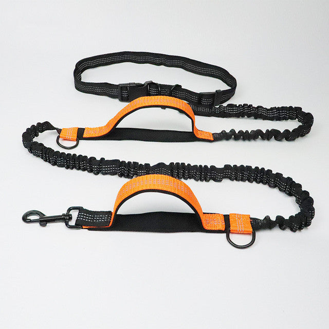 Jogging Owner Adjustable Pet Leash