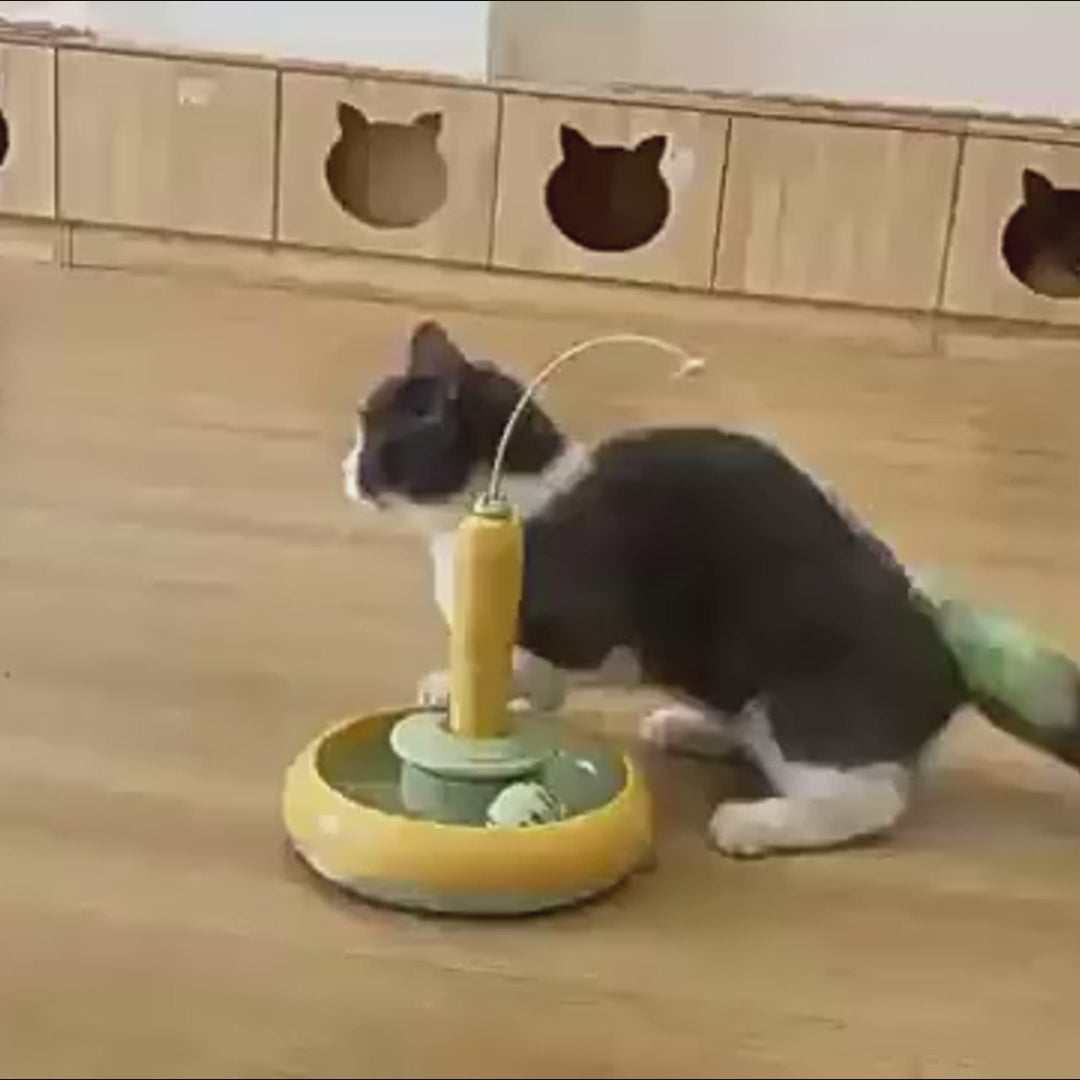 Smart Interactive Electronic Cat Track Toy – Indoor Exercise & Fun